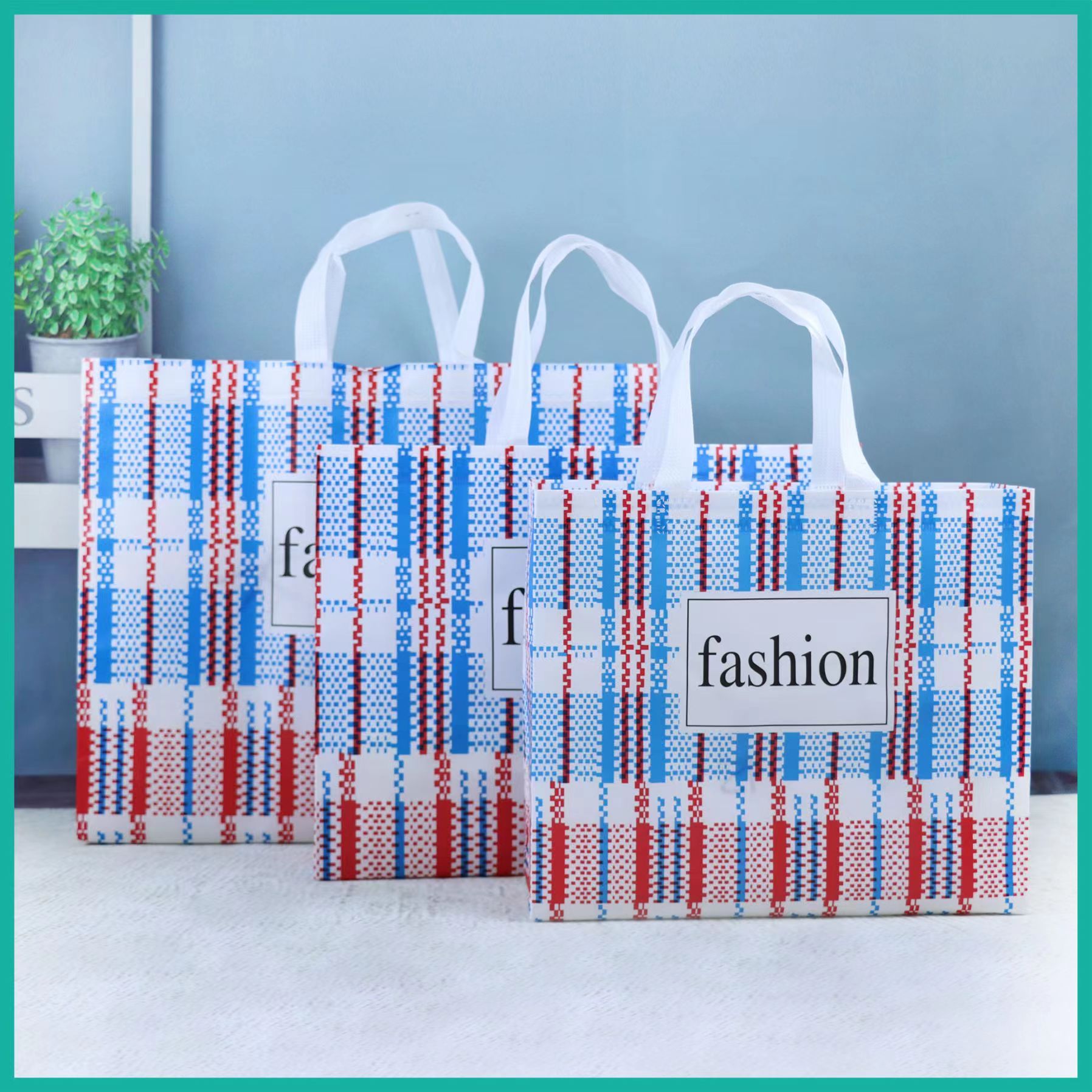 Non woven bag 