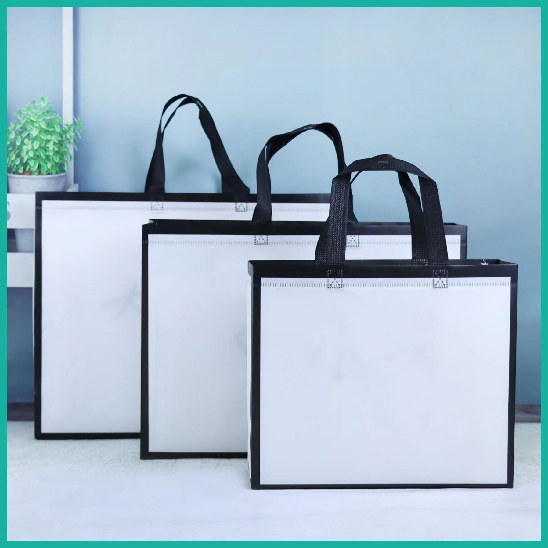 Non woven bag 