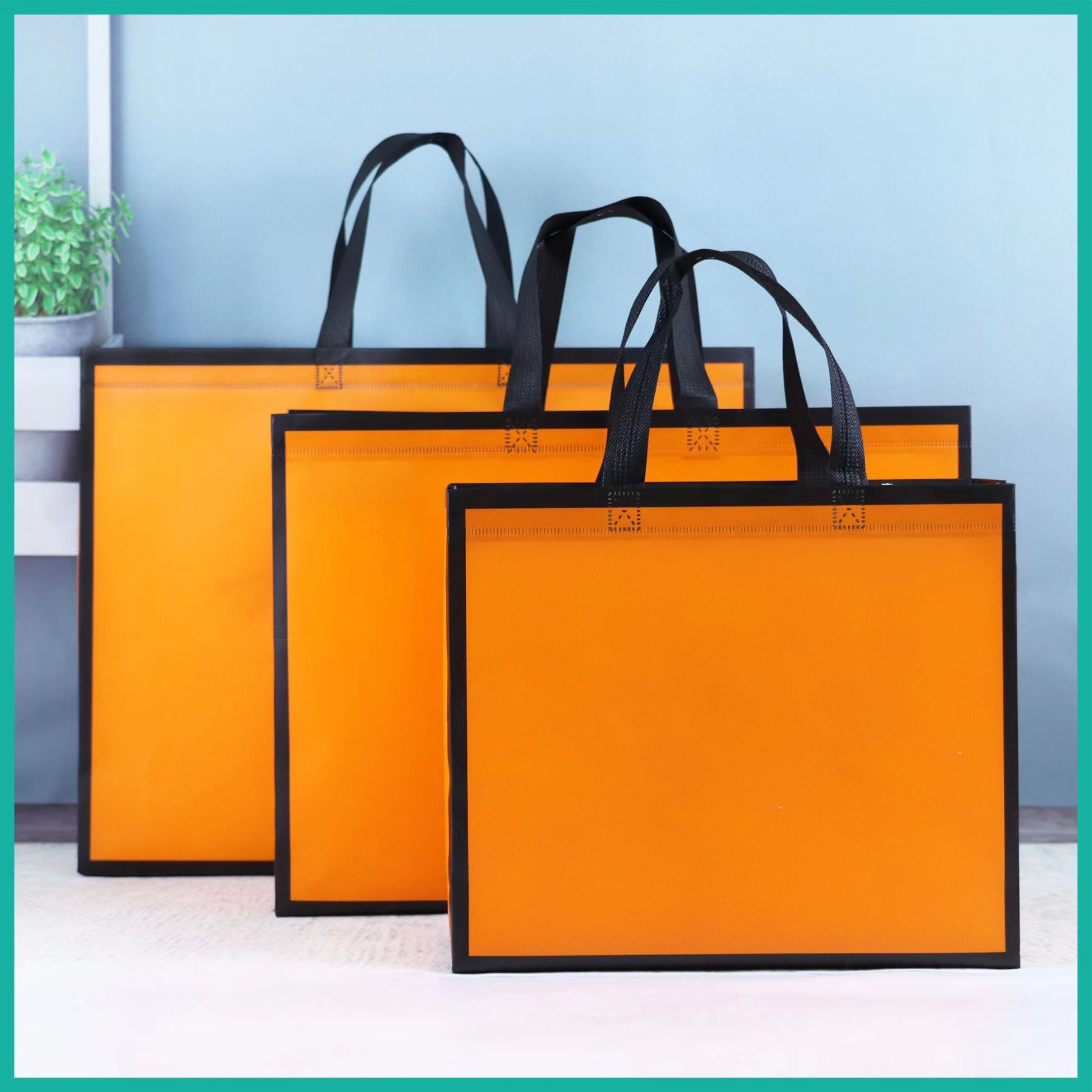 Non woven bag 