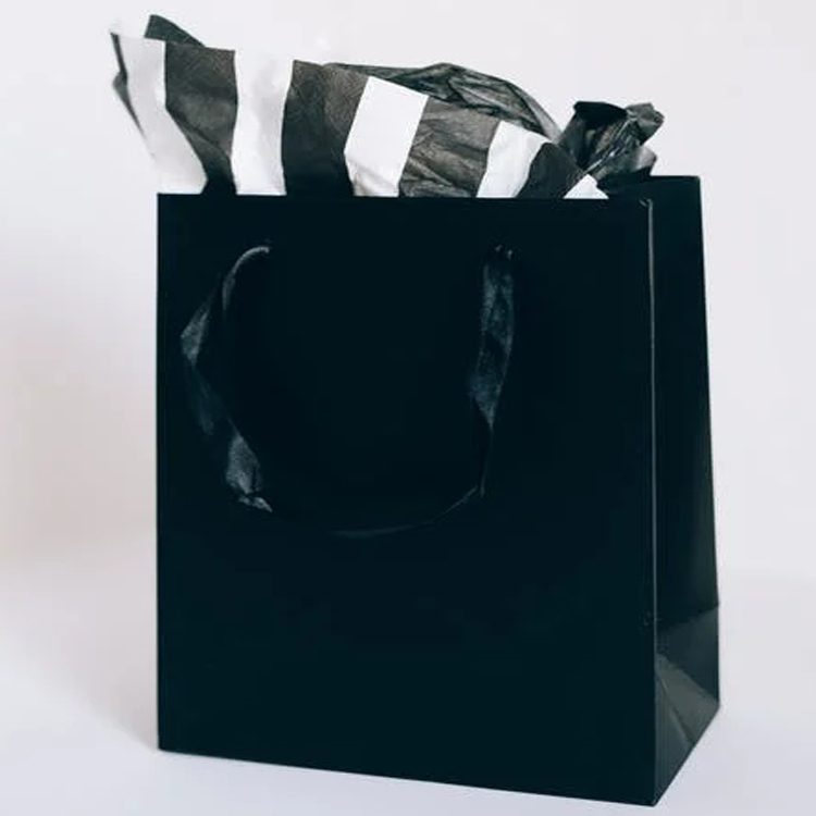 Paper Gift Bag
